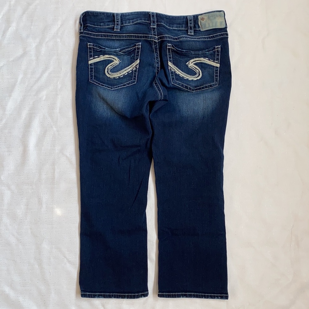 Silver Capris - image 3